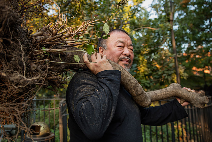 AI WEIWEI in The New York Times