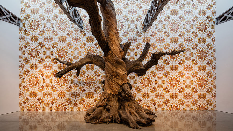 Ai Weiwei 2016: Roots and Branches