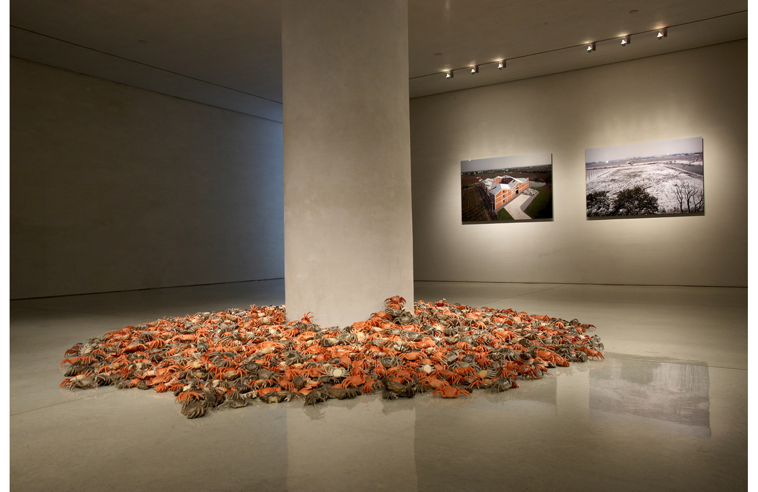 Ai Weiwei He Xie (River Crab) - View 2