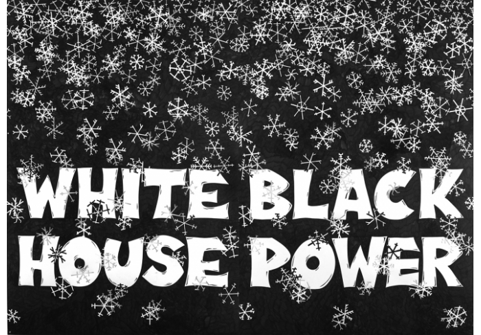 Aleksandra Mir White House Black Power